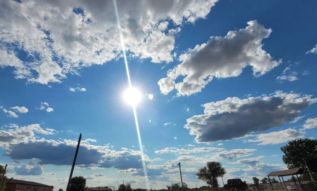    Фото Натальи Алфимовой Газета Колос