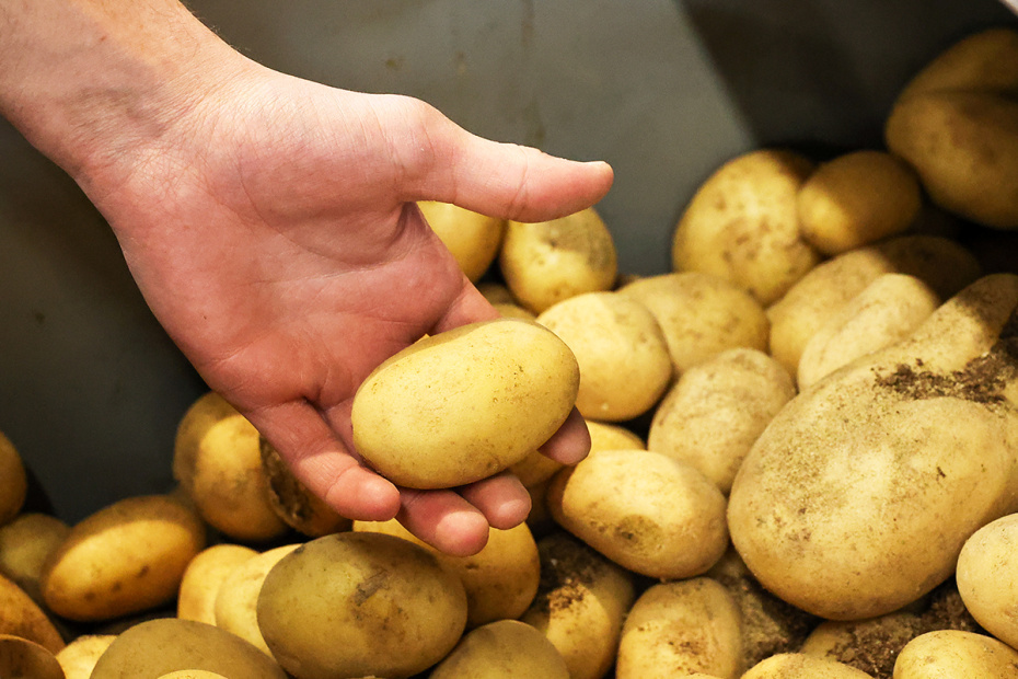    Сергей Петров/NEWS.ru