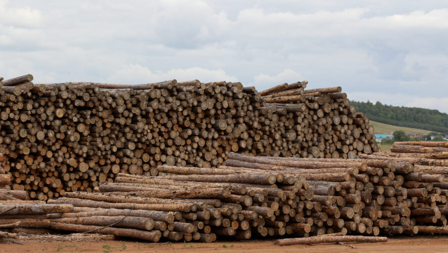    KazanFirst/Сергей Журавлев