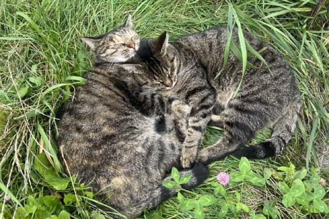   Фото из архива Калининград.Ru