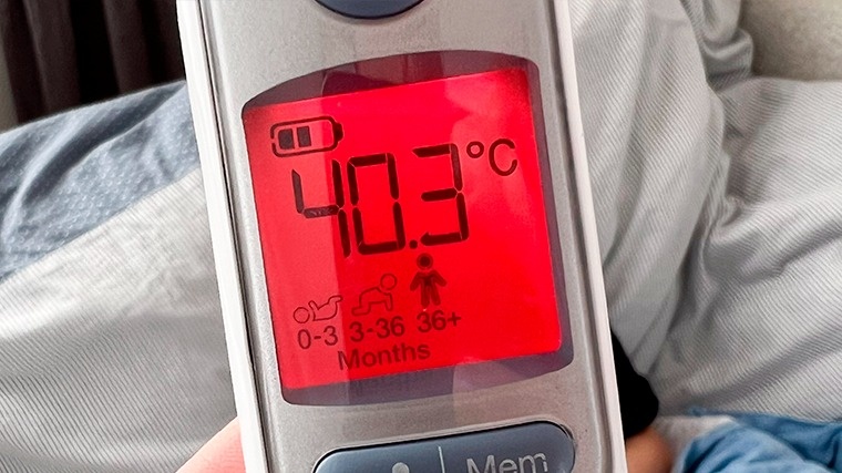 Фото: www.globallookpress.com / © Julian Stratenschulte