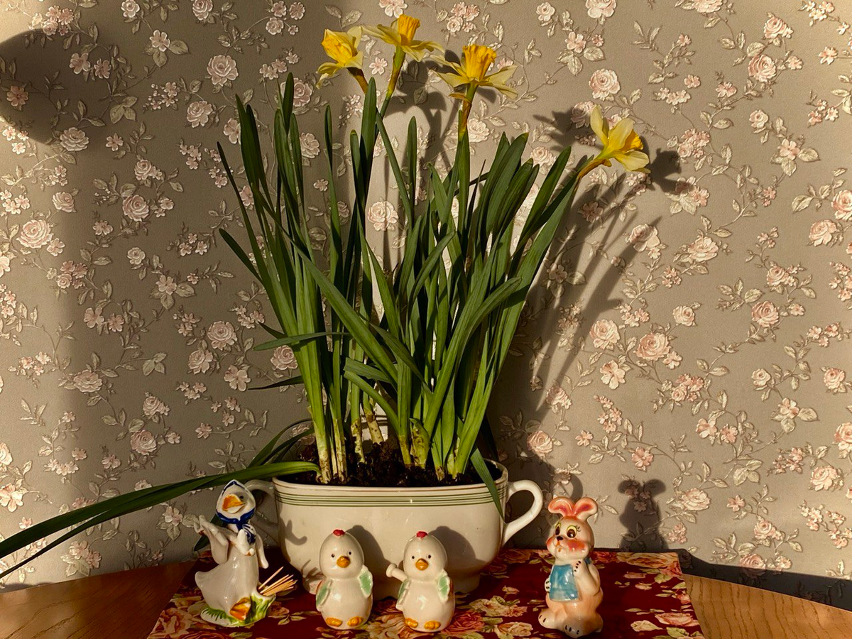 Они просто стоят для настроения