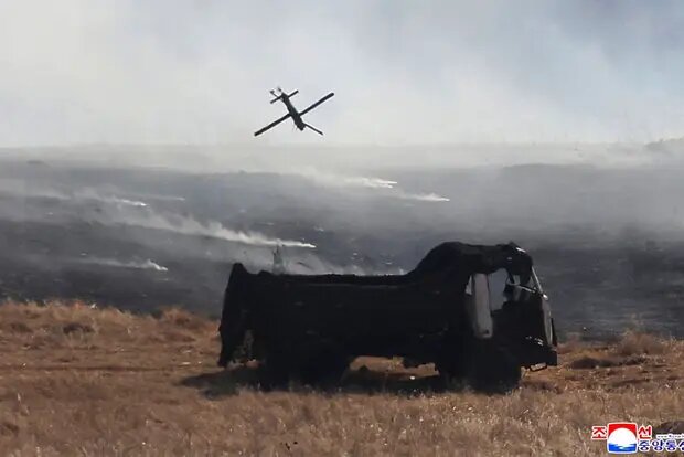    Источник: lenta.ru/ Диана Петровская