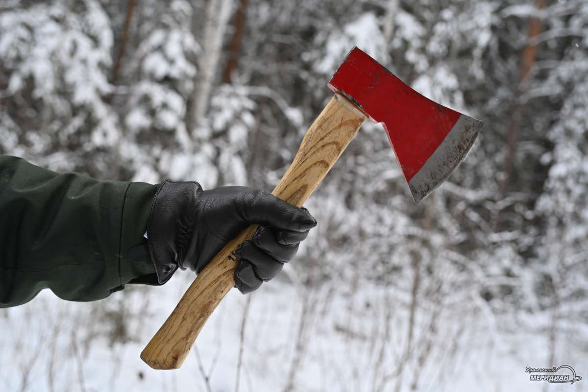    Фото: Анастасия Сибирякова © ИА «Уральский меридиан»