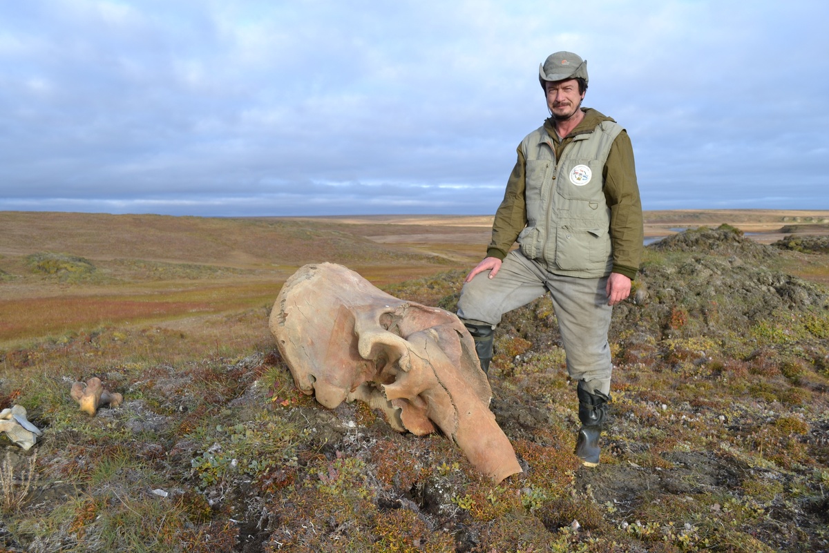 Фото автора. Экспедиция на Новосибирские острова.