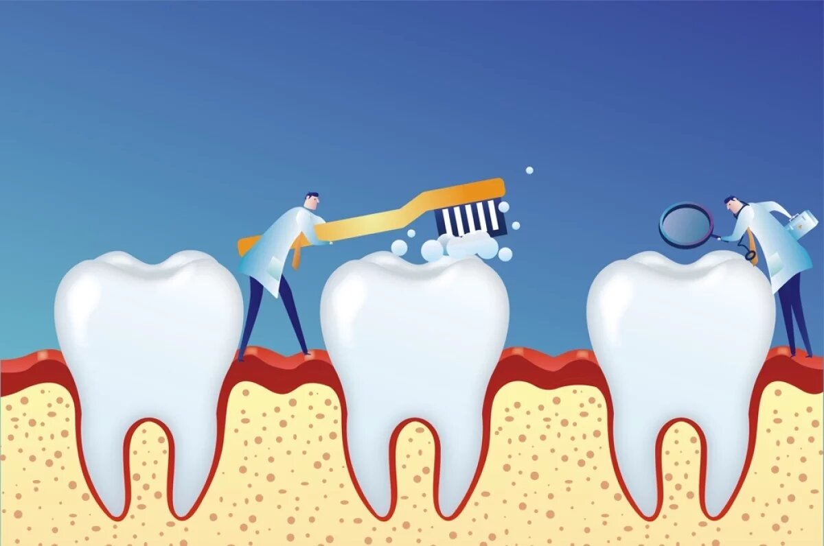    Здоровая десна имеет бледно-розовый цвет и плотную структуру.