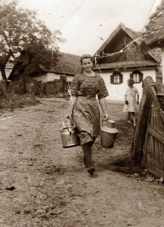 Взято из открытых источников интернета Яндекс.