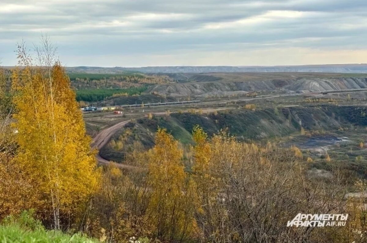    Середюк рассказал, как в Кузбассе диверсифицируют угольную экономику