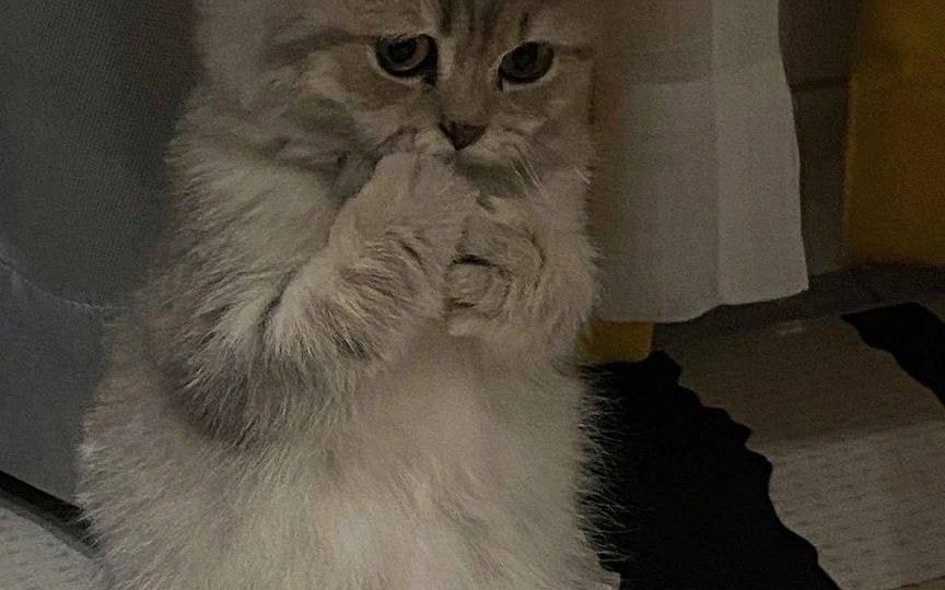 На прошлой неделе со мной случился чудесный случай.