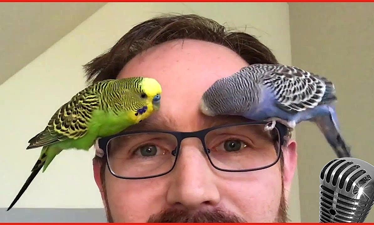 «Это мой человек!». Ревность - тяжелое чувство