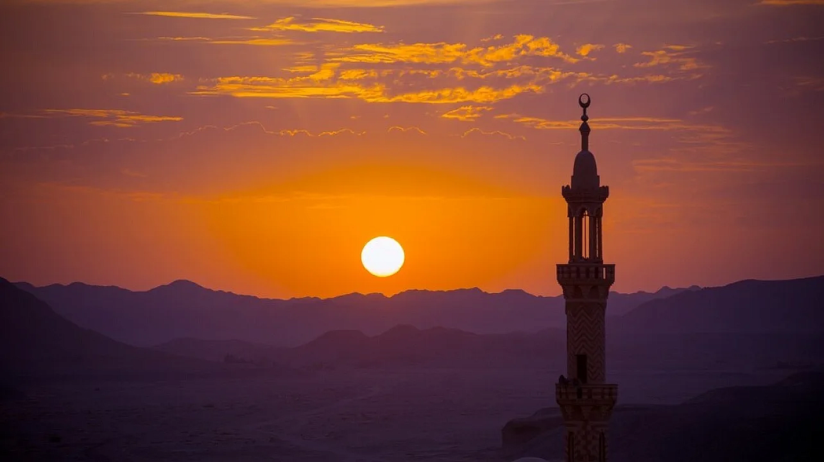     Фото: ru.freepik.com