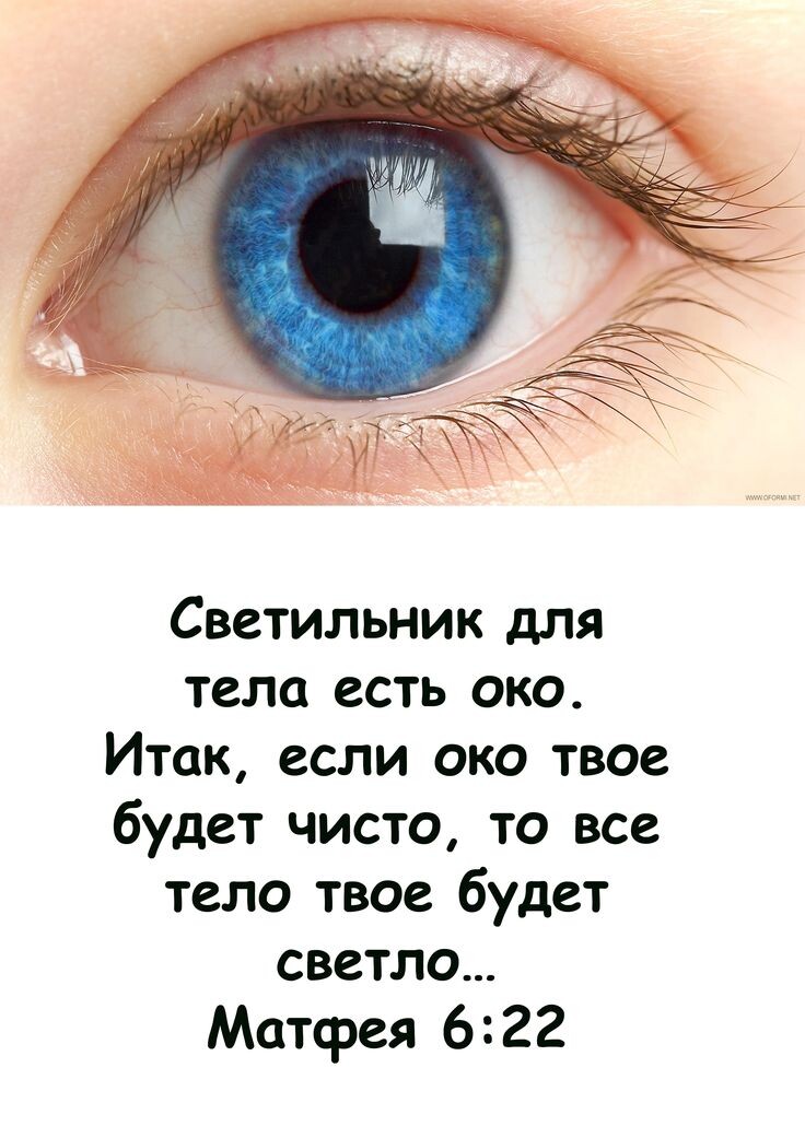 Из открытых источников Янлекса.