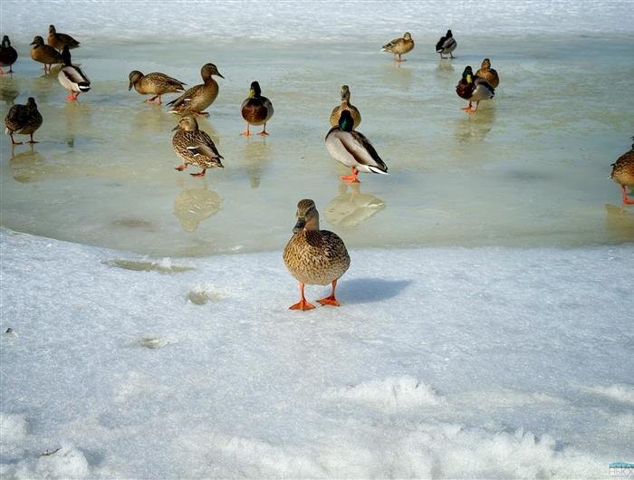    Фото: Александра Белова