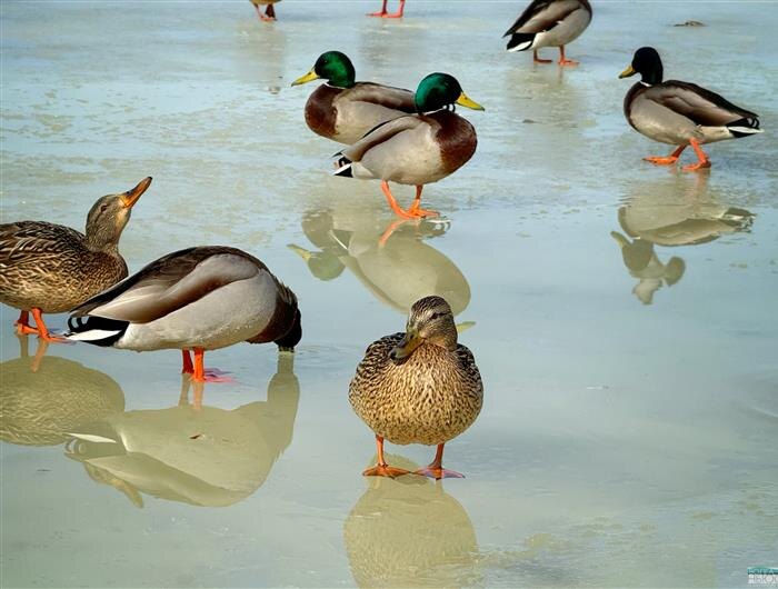    Фото: Александра Белова