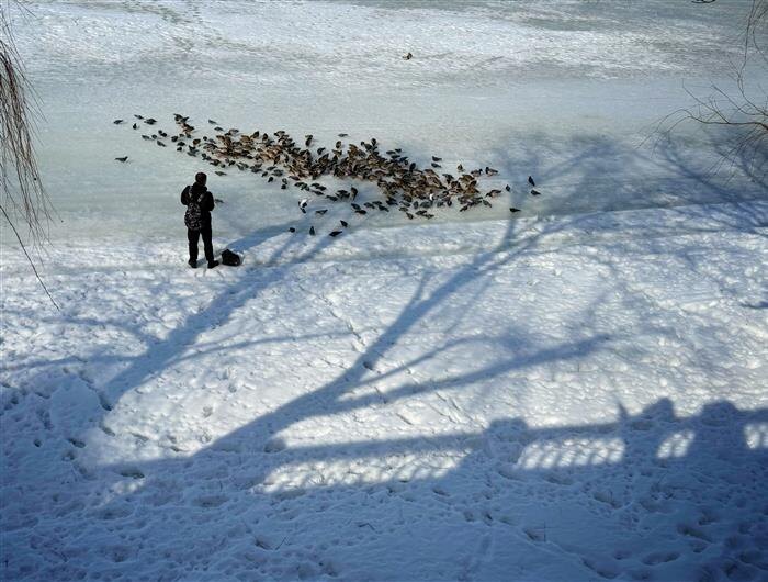    Фото: Александра Белова
