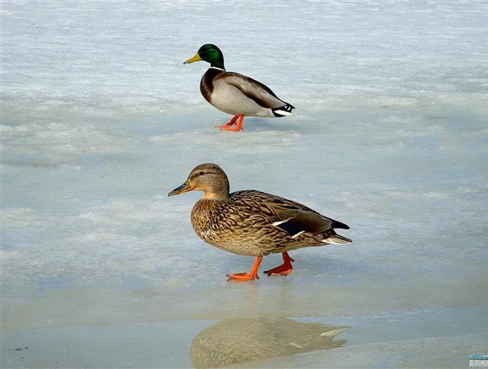    Фото: Александра Белова