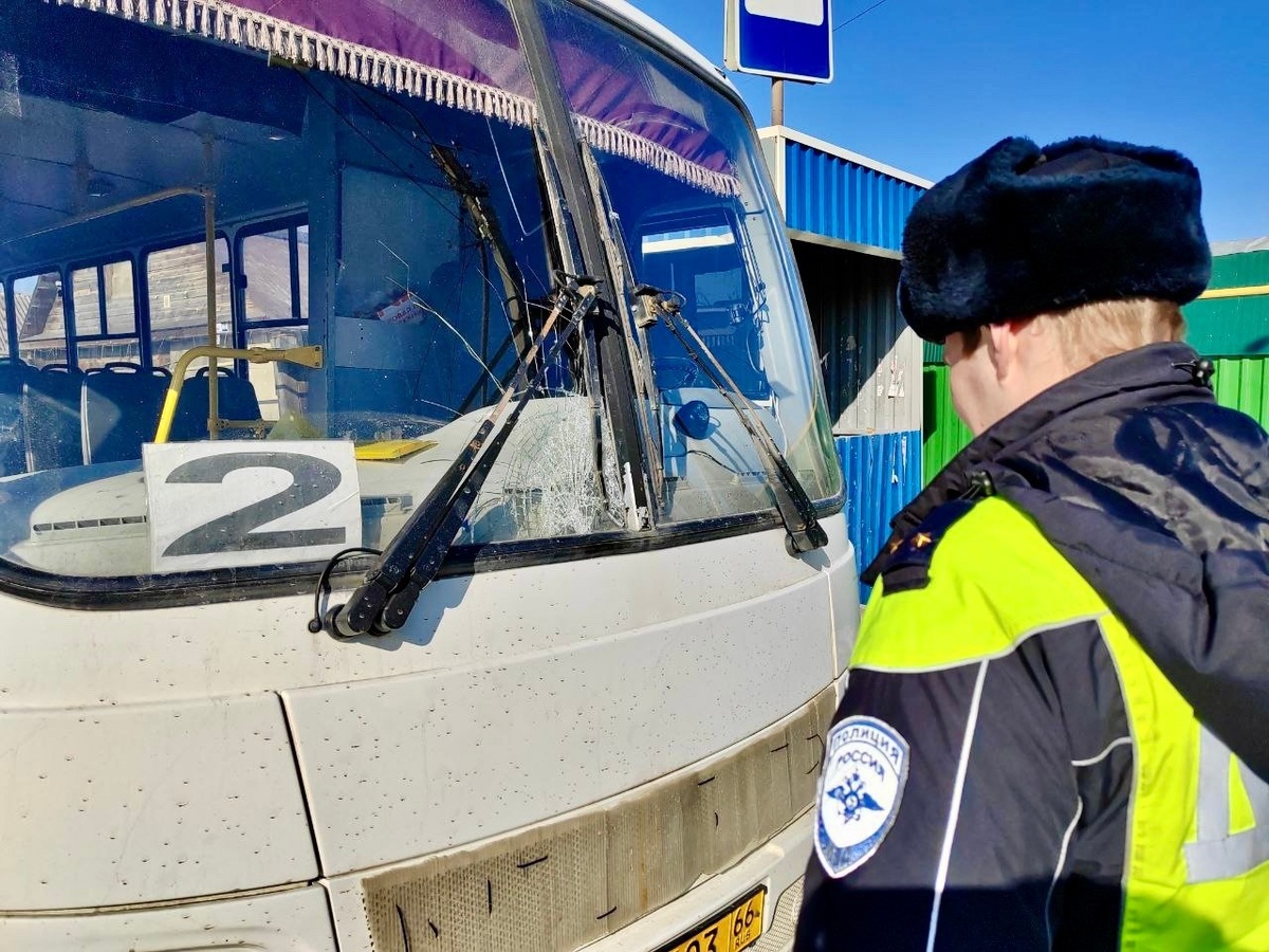     Фото: УГИБДД по Свердловской области