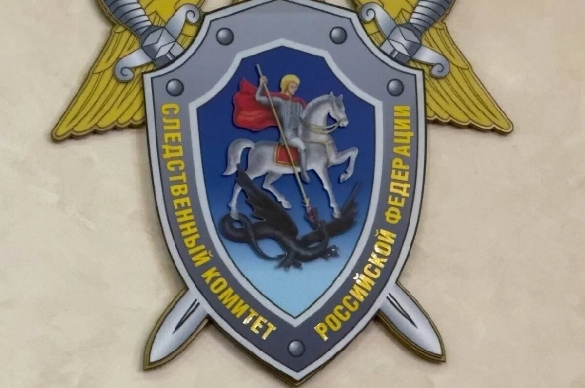    После приёма глава Следкома Дагестана поручил возбудить уголовное дело