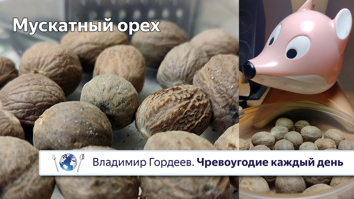Мускатный орех — только свеженатёртый! (Лисёнок настоятельно рекомендует)
