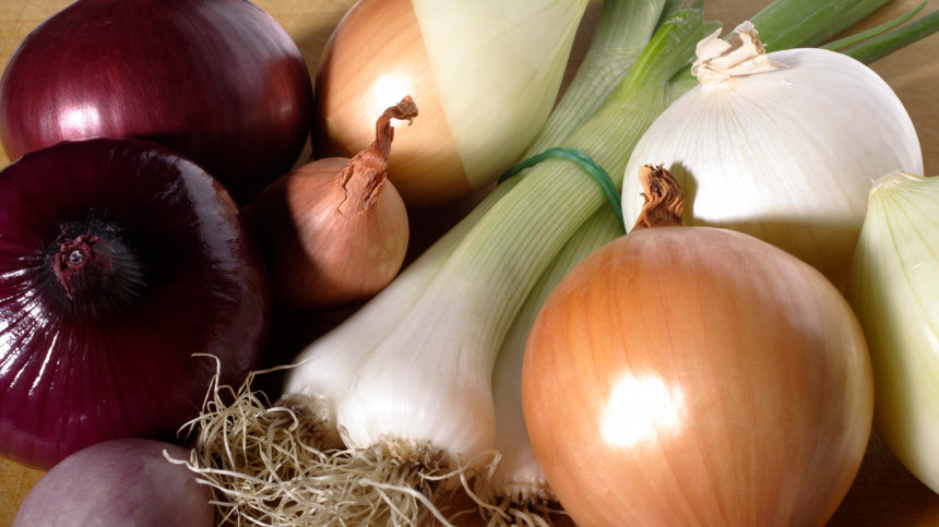    Фото: www.globallookpress.com/Jiri Hubatka