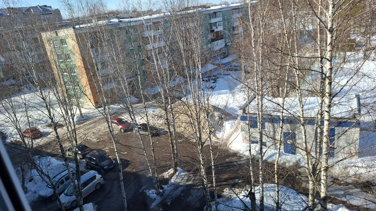 Весна! Пришла окончательно!