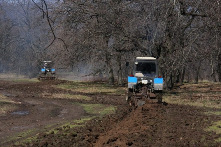 Фото: администрация Волгоградской области
