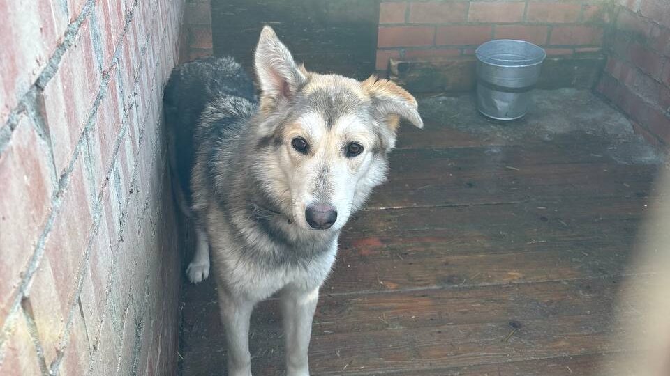 Почему я здесь? — читается вопрос в её глазах…