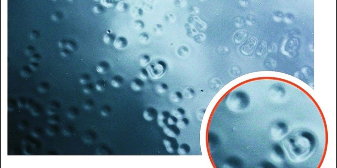 Кратеры на лаке: почему они появляются, даже если у вас дорогой материал?