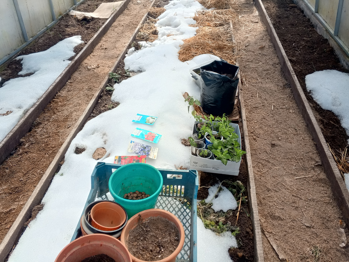 Готовлюсь к посеву