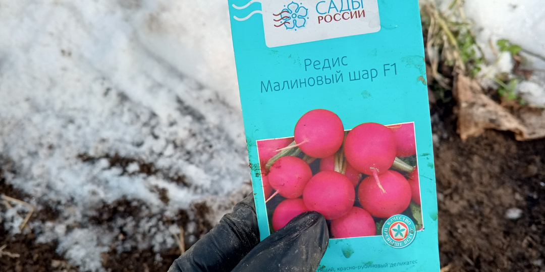 Март 2026. Пробую посеять редис 🌱