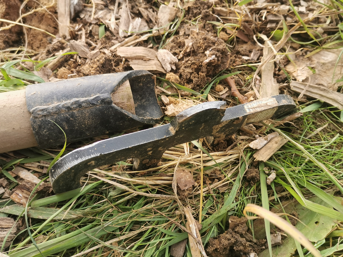 Да, мне нужен был участок под цветник. Быстро и без сорняков) Я очень старалась и сломала вторые вилы