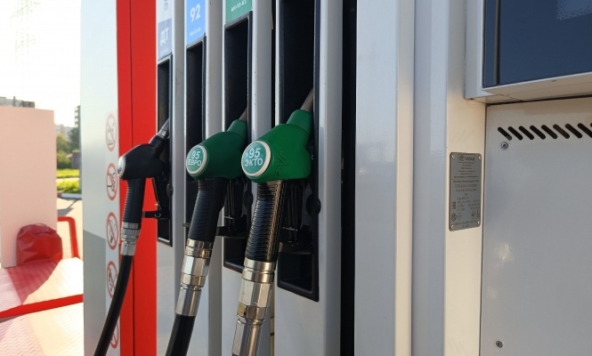    фото: © Столица на Онего