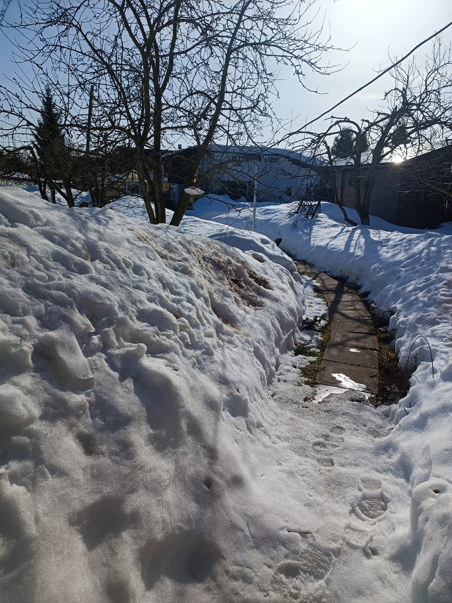 В прошлую пятницу дача встретила меня вот так
