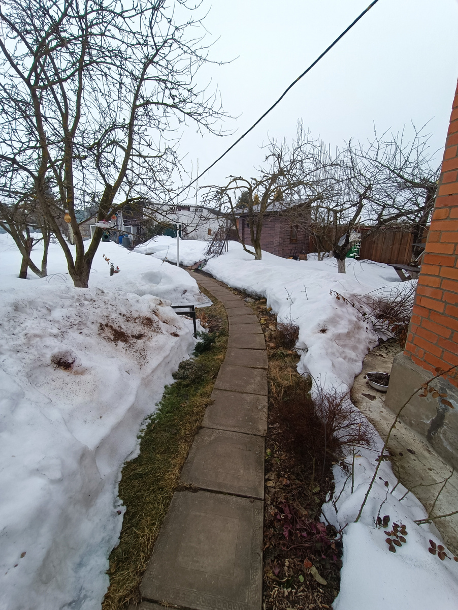 Неделю спустя провожаем дачу вот такой картинкой