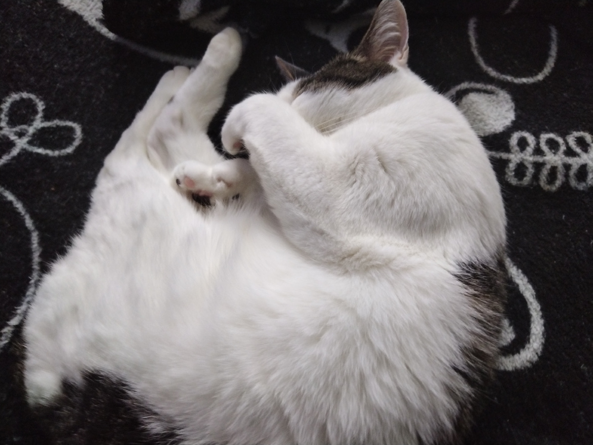 Делает вид будто ей бывает стыдно