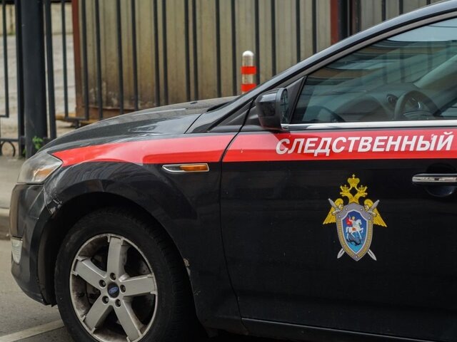    Фото: Москва 24/Анастасия Корнишкина