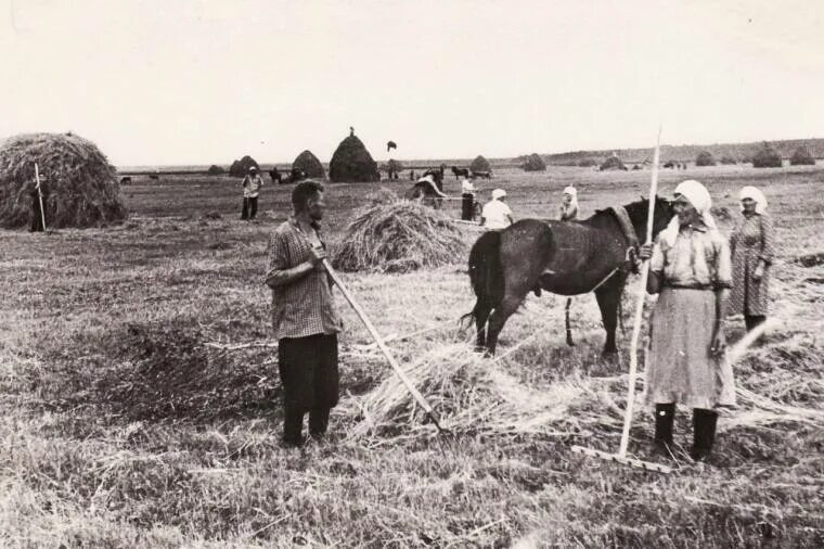 Фото https://avatars.mds.yandex.net/i?id=cdb4949aaa1dd466d3696e69bea6f207_l-9225904-images-thumbs&n=13