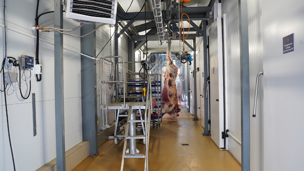 *Реализованый проект скотобойни