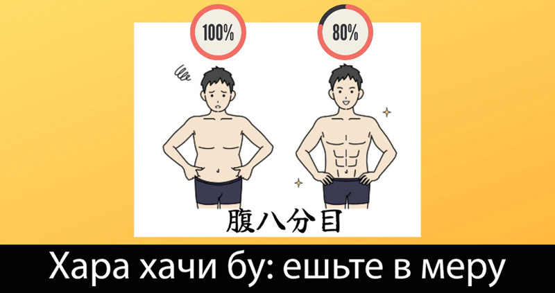 Фото Яндекс Картинки