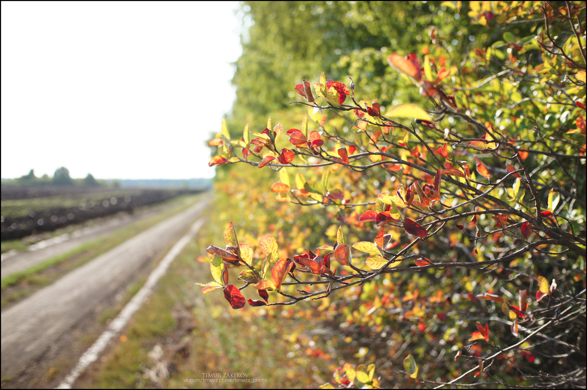 3 кадра в галерее, полистайте >>
