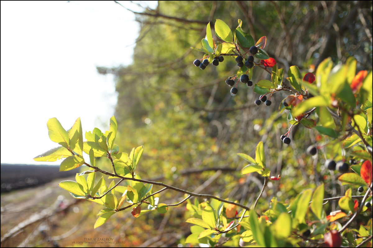 4 кадра в галерее, полистайте >>