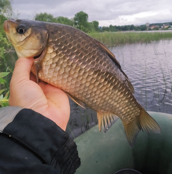 Фото автора Подслушано Секреты Рыболова