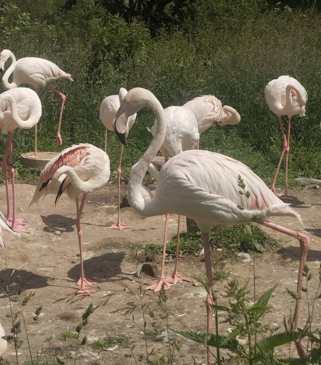 Москва: Инструкция по применению. Выпуск №9