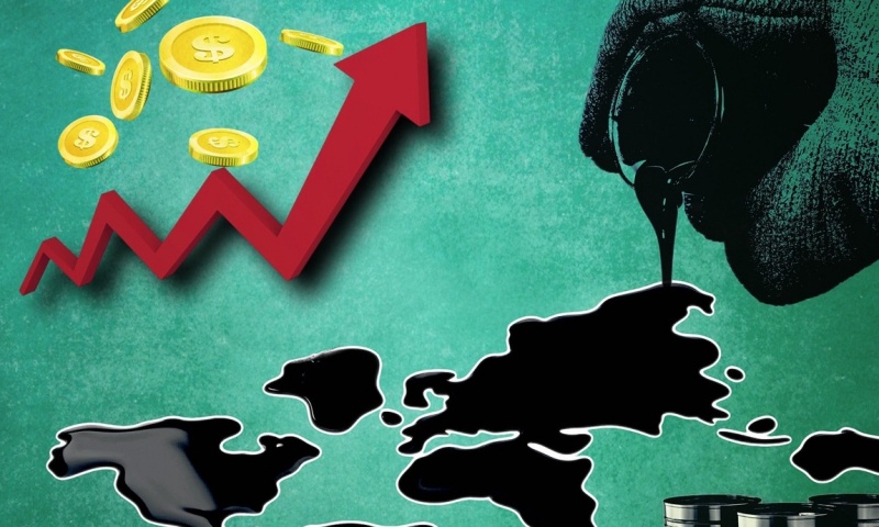    Иллюстрация: REX