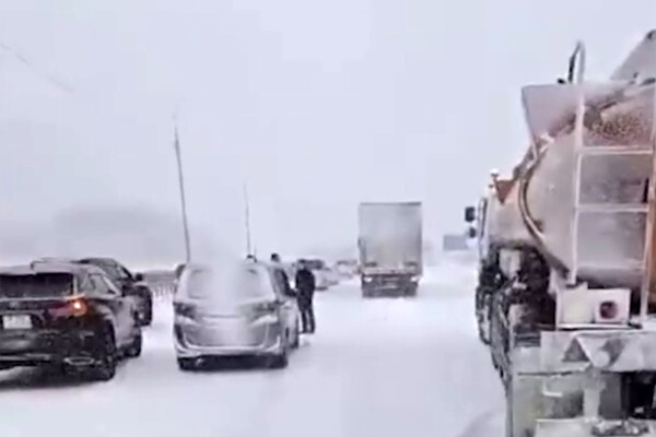 Telegram-канал SHOT  📷