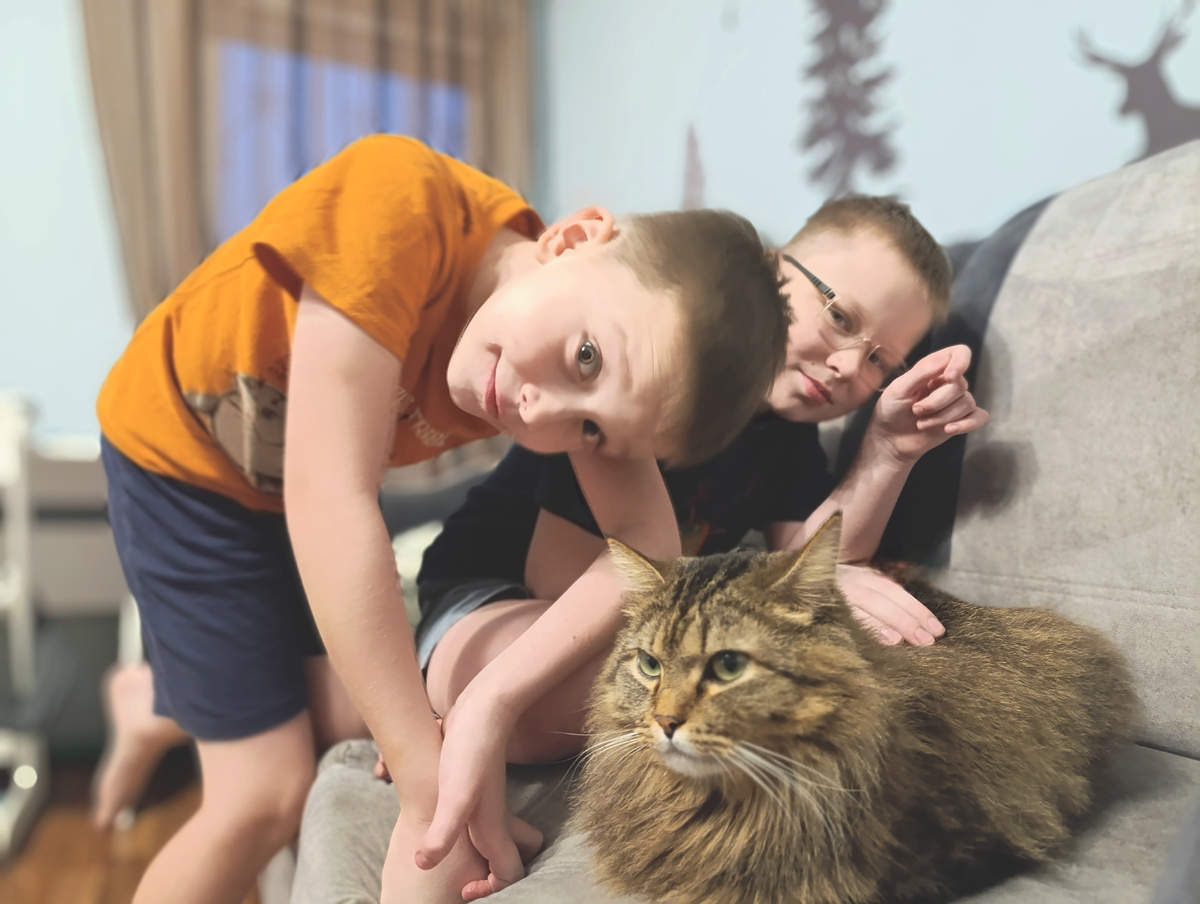 Дети и кот, который сам себе в зеркало не улыбается