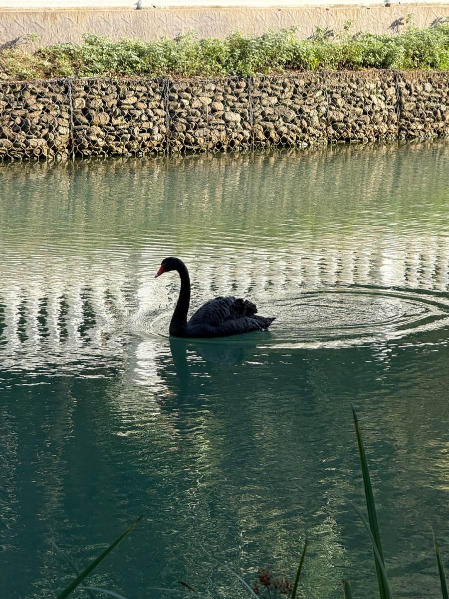Ну как же так?