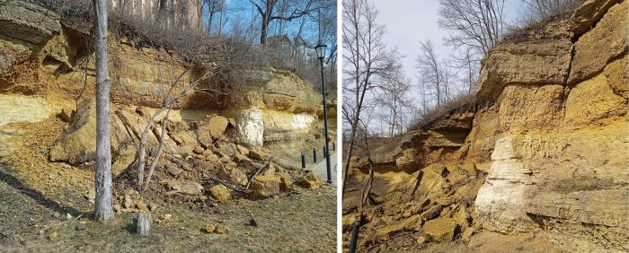 Фото автора  📷
