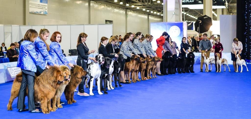 Евразия 2018. тут уже не так интересно((