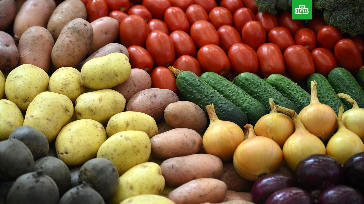    Фото: РИА Новости © 2026, Владимир Астапкович